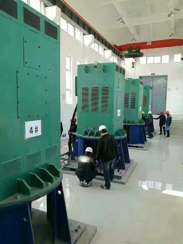 杨市办事处某污水处理厂使用我厂的立式高压电机安装现场